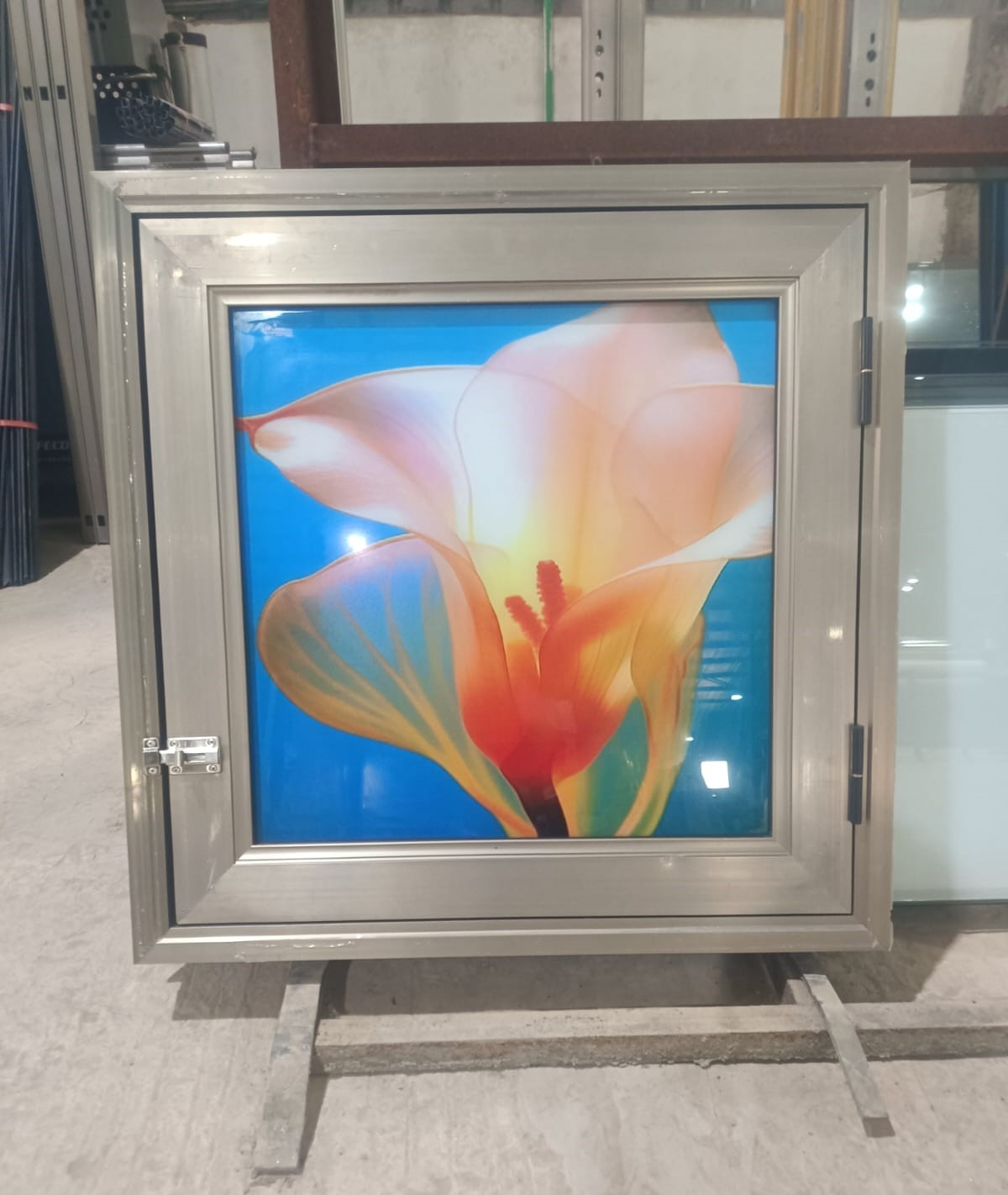 Aluminium Luxury CaD Door